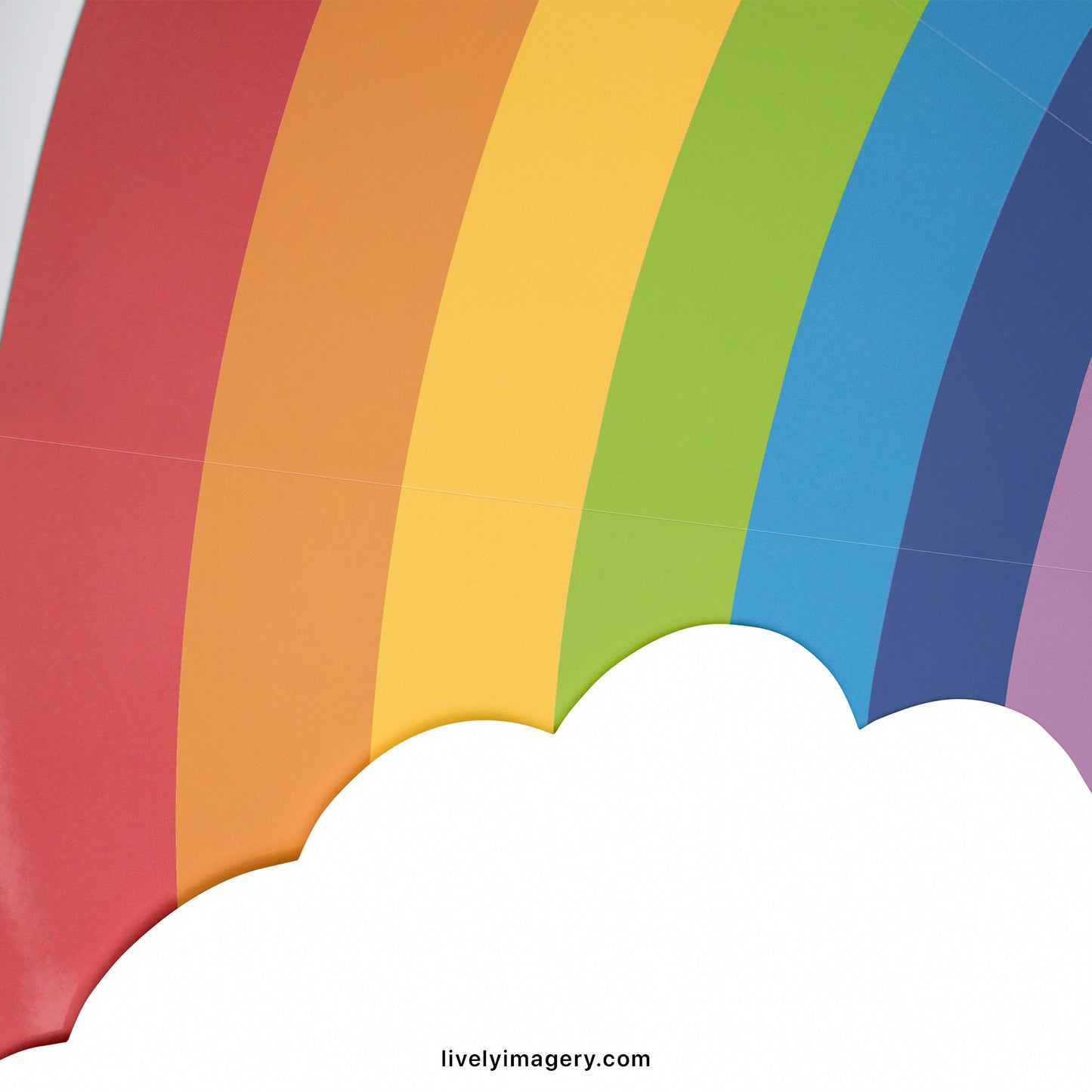 ROYGBIV Rainbow Backdrop